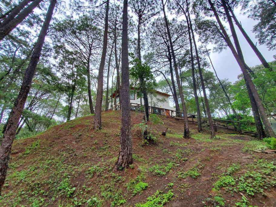 Villa Fantasia A 15 Min A Pie De Cascada มาซามิตลา ภายนอก รูปภาพ